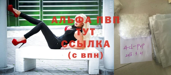 дживик Краснослободск