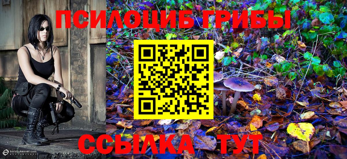 Псилоцибиновые грибы мухоморы Красный Сулин